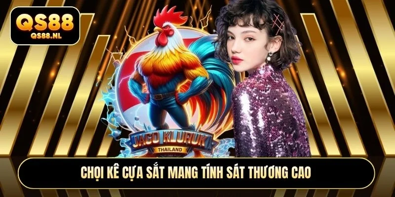 Chọi kê cựa sắt mang tính sát thương cao