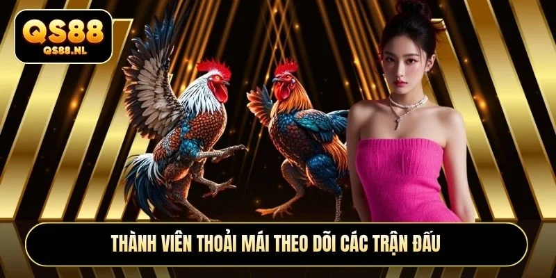 Thành viên thoải mái theo dõi các trận đấu