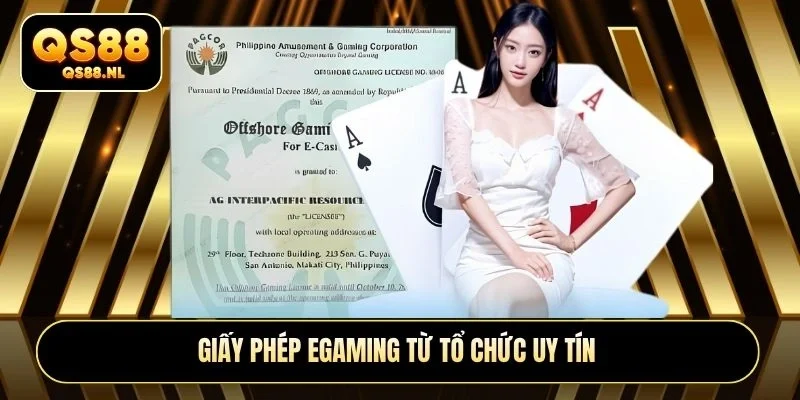 Giấy phép Egaming từ tổ chức uy tín