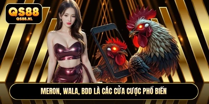 Meron, Wala, BDD là các cửa cược phổ biến