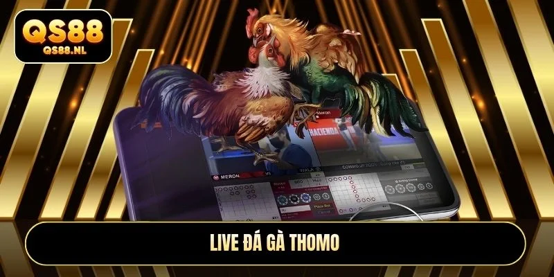 Live đá gà thomo