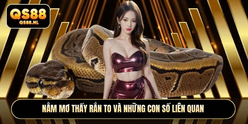Nằm mơ thấy rắn to và những con số liên quan