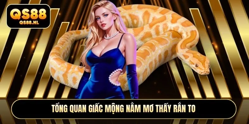 Tổng quan giấc mộng nằm mơ thấy rắn to