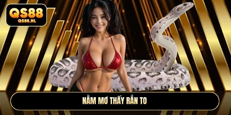 Nằm mơ thấy rắn to