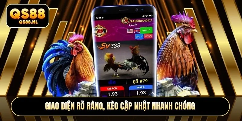 Giao diện rõ ràng, kèo cập nhật nhanh chóng