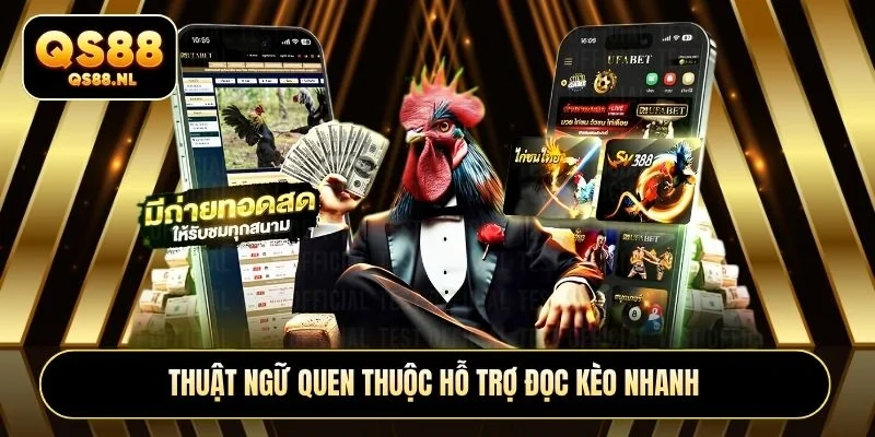 Thuật ngữ quen thuộc hỗ trợ đọc kèo nhanh