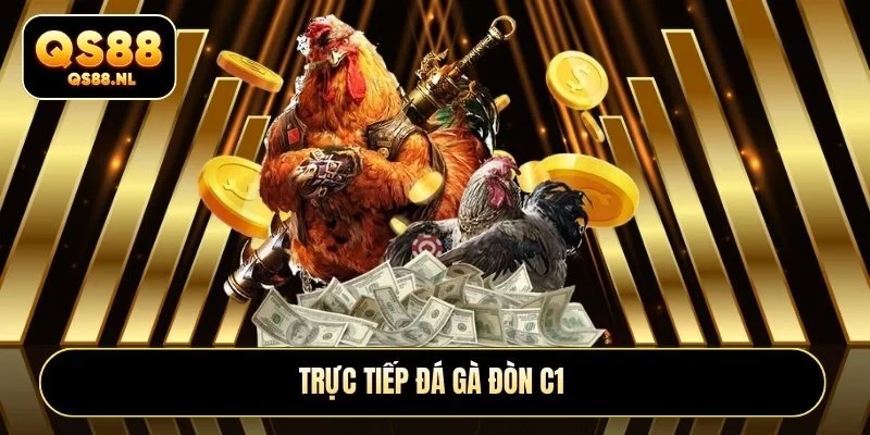Trực tiếp đá gà đòn C1